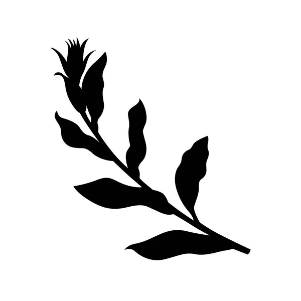 Rama de hojas de albahaca — Archivo Imágenes Vectoriales