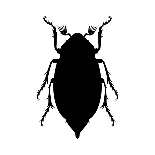 Ενδέχεται να έντομο, σκιά εικόνα — Διανυσματικό Αρχείο