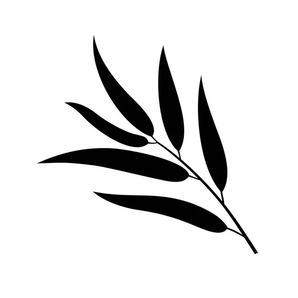 Willow leaf, σκιά εικόνα — Διανυσματικό Αρχείο