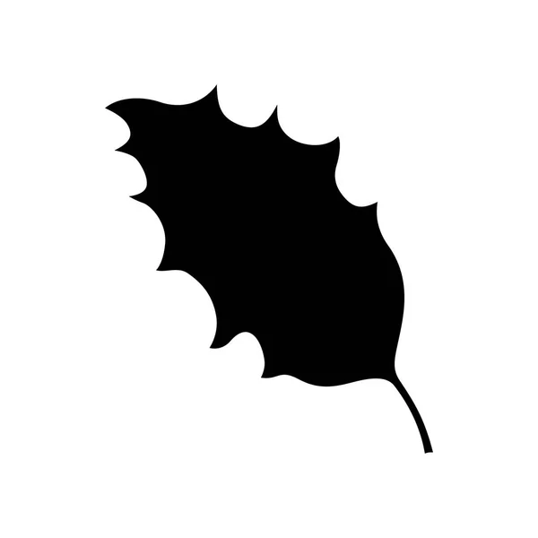 Folha de azevinho, imagem de sombra — Vetor de Stock