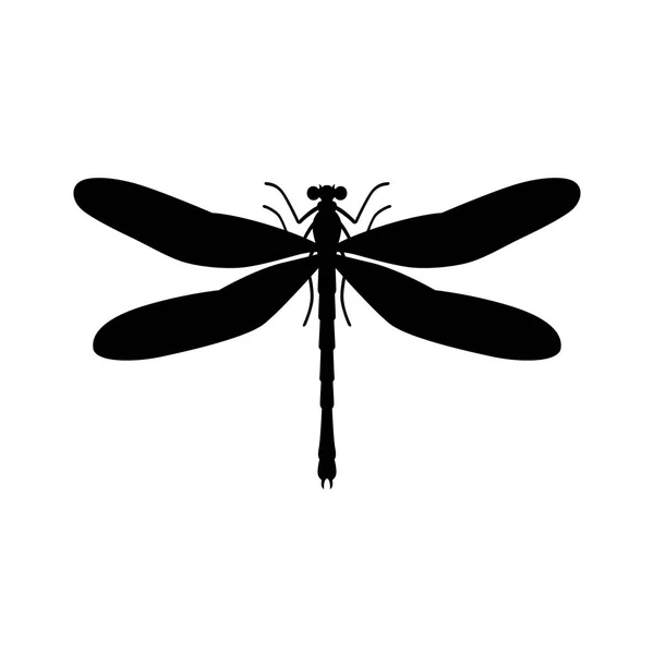 Dragonfly, shade picture — Stock Vector