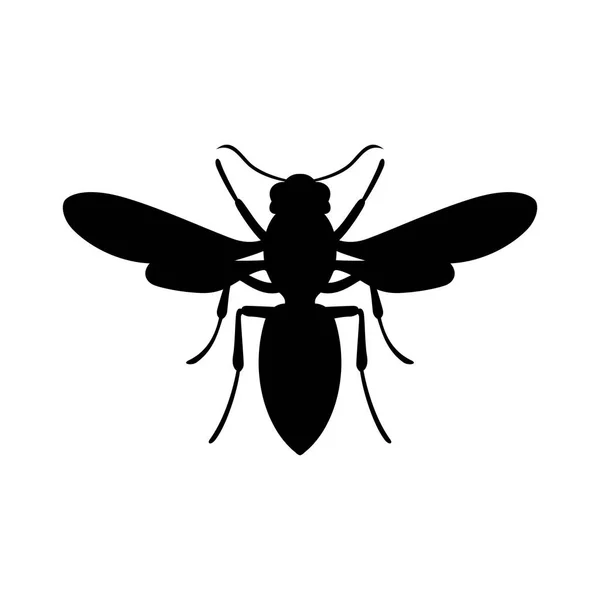 Wasp, schaduw beeld — Stockvector