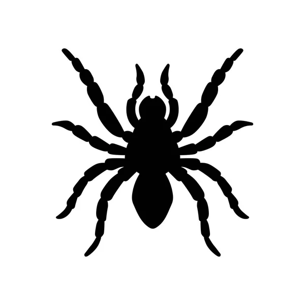 Tarantula, shade picture — Stock Vector