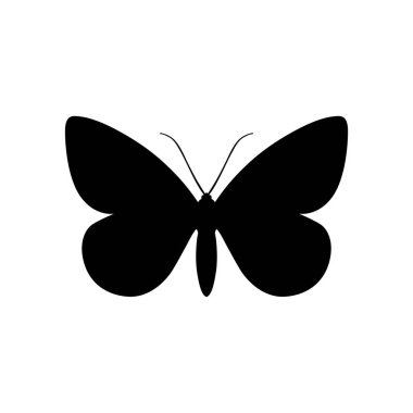 Kelebek, gölge resim