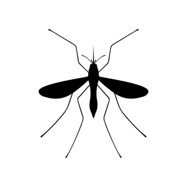 Sivrisinek, gölge resim