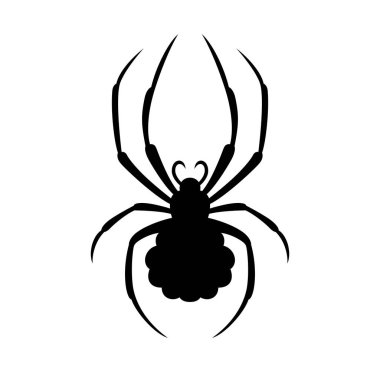 Örümcek, gölge resim