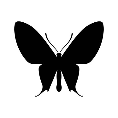 Kelebek, gölge resim