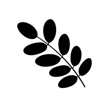 Akasya yaprağı, gölge resim