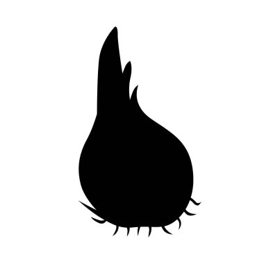 Taro yumru, gölge resim