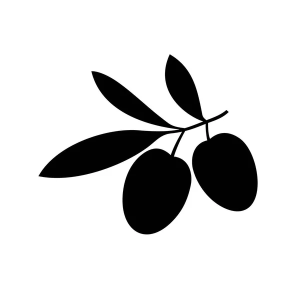 Branche d'olive — Image vectorielle