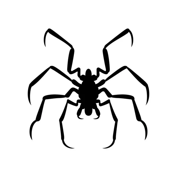 Araña, imagen de sombra — Vector de stock