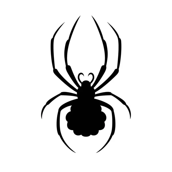 クモ、陰影画像 — ストックベクタ