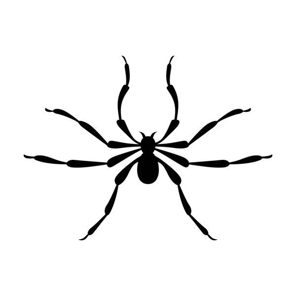Spinne, Schattenbild — Stockvektor