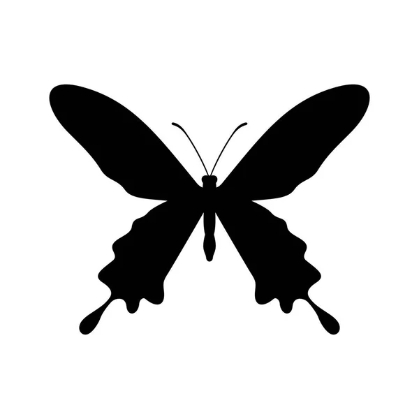 Pillangó, kép árnyék — Stock Vector