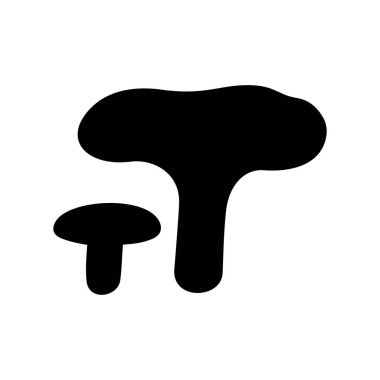 Safran süt cap mantar