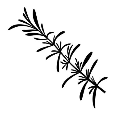 Ardıç şube, gölge resim