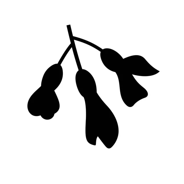 Flores de acácia, imagem de sombra —  Vetores de Stock