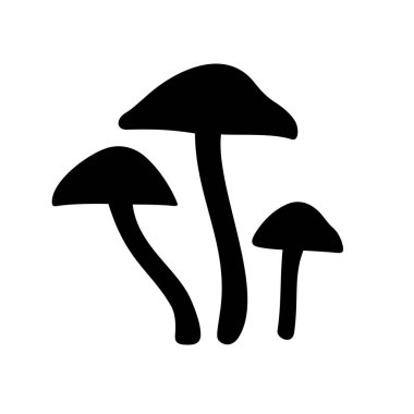 Mantar galerina marginata