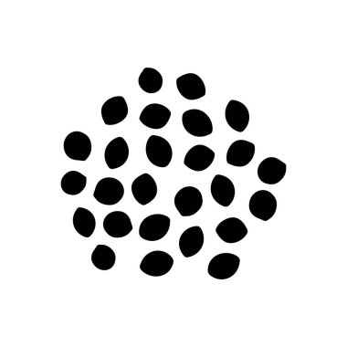 Darı tohumları, gölge resim