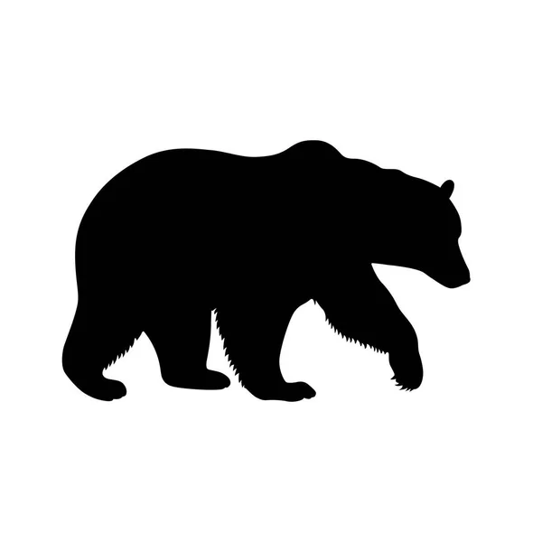 Bruine beer (Ursus acteurs) — Stockvector