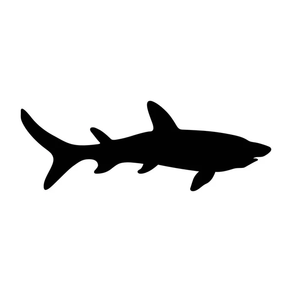 Icono de tiburón (Selachimorpha) — Vector de stock