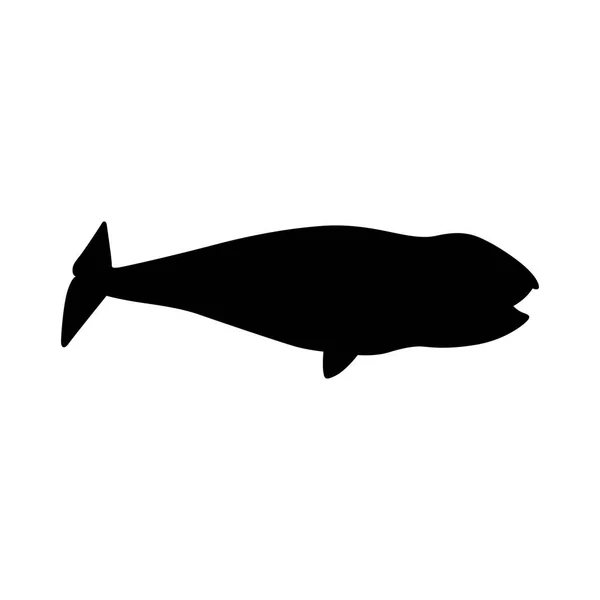 Ícone de baleia (cetácea) —  Vetores de Stock