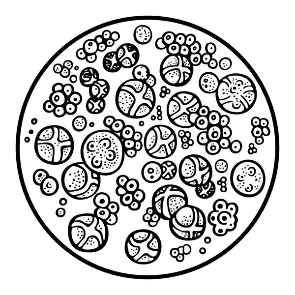 Хлорелла под микроскопом — стоковый вектор