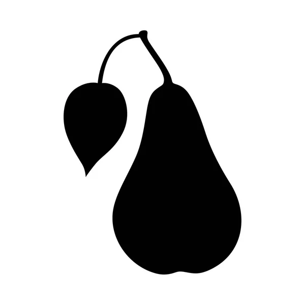 Pear Prus Commnis Met Een Blad Schaduw Beeld — Stockvector