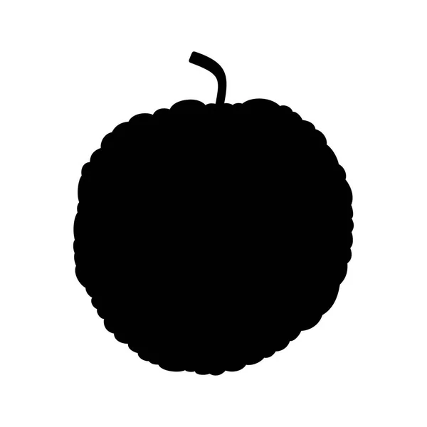 Osauge Orange Fruit Image Ombre — Image vectorielle