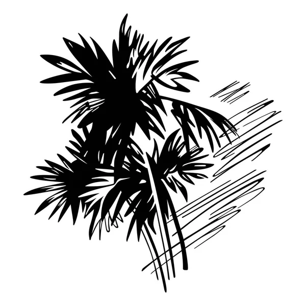 Palmas Tropicais Ilustração Preto Sobre Branco — Vetor de Stock