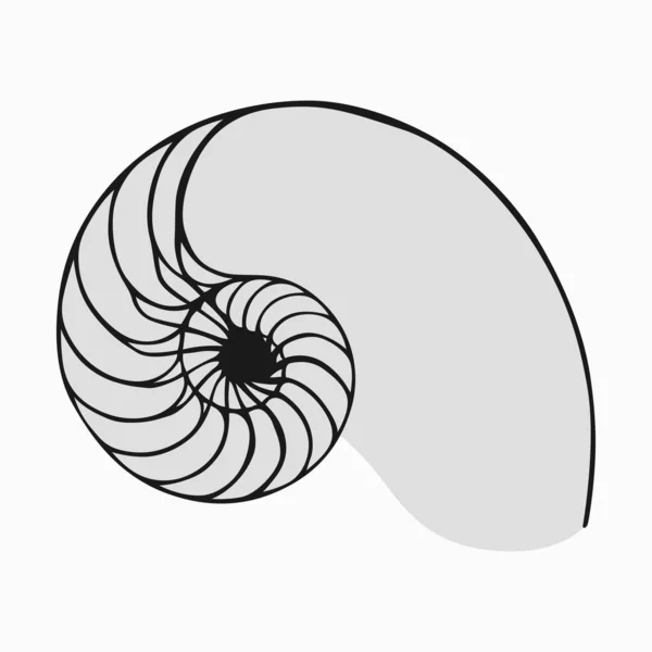 Gouden Ratio Fibonacci Natuur Slak Nautilus Shell Voorbeeld — Stockvector