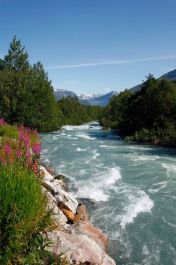 Norveç 'teki Bergsetbreen buzulu yakınlarındaki manzarada engebeli dağlar, yemyeşil vadiler ve buzul buzlar nefes kesici ve el değmemiş bir doğal ortam yaratır..