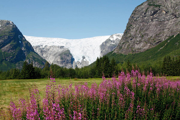 Scenic landscape near the Bergsetbreen glacier in Norway, where rugged mountains, lush valleys, and glacial ice create a breathtaking and pristine natural setting.