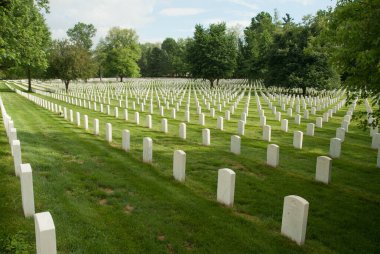 Louisville, KY, ABD - 14 Mayıs 2011: Zachary Taylor Ulusal Mezarlığı 'nda ABD' li asker ve asker mezarları.