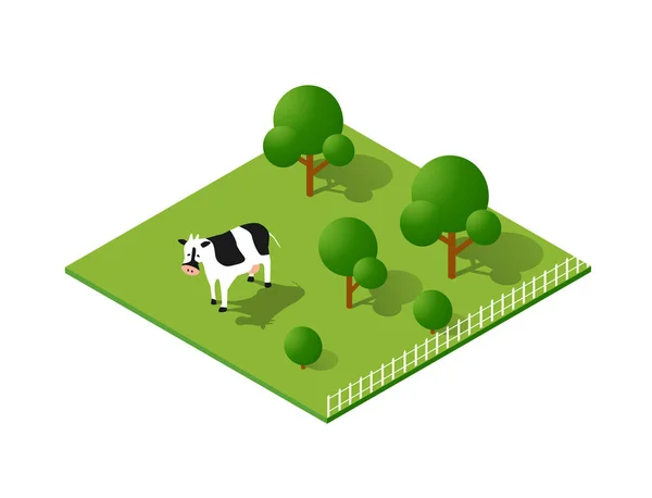 Campo rural ecológico — Vector de stock