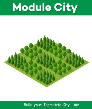 Doğal peyzaj izometrik