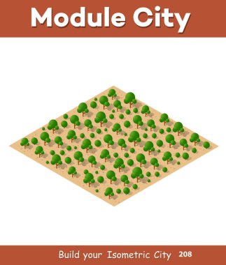 İnşaat için izometrik modülleri