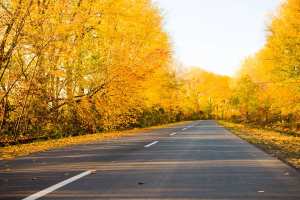 Countryside fall season road — Stock Photo, Image