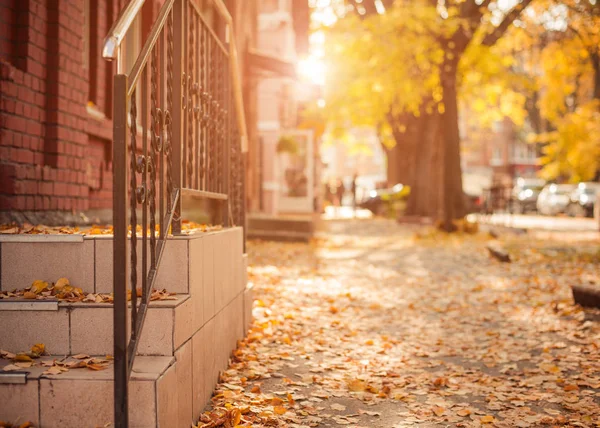 Stadtstraße Gehweg Mit Herabgefallenen Herbstblättern Baut Treppe — Stockfoto