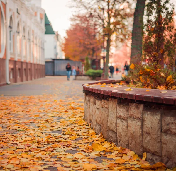 Міська Вулиця Осінній Сезон Гарна Погода Жовтим Опалим Листям — стокове фото