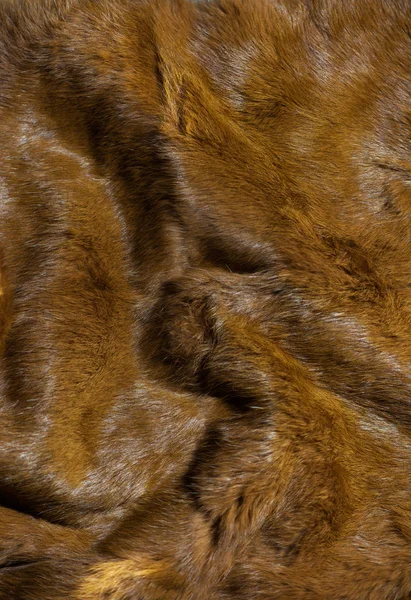 Natural Creased Fox Fur Leather Surface Abstract Textured Background — Stock Photo, Image