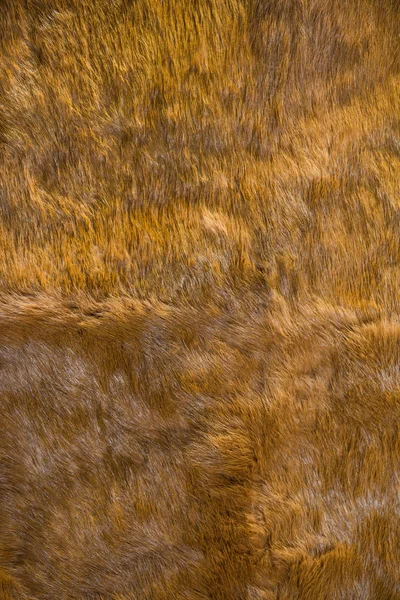 Naturliga Veckat Räv Päls Läder Yta Abstrakt Strukturerad Bakgrund — Stockfoto