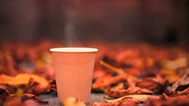 Heißer Kaffee Verdunstet Pappbecherrauch Bei Fallenden Herbstblättern — Stockvideo