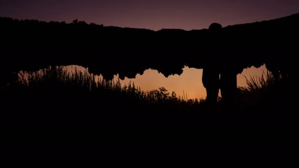 Kyssar Par Silhuetter Vid Solnedgången Sjö Bakgrund — Stockvideo