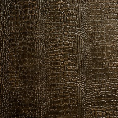 kahverengi renkli yılan derisi desenli çimento arkaplan