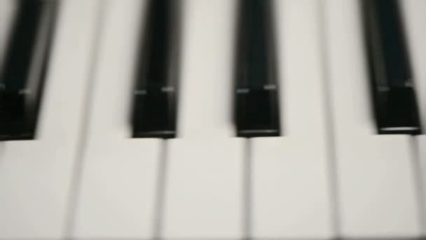 Mouvement Long Piano Une Fleur Marguerite Sur Surface Clavier — Video