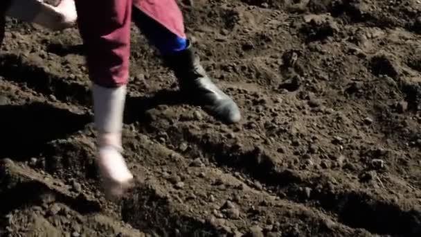 Bäuerin Seniorin Pflanzt Pflanzensamen Erde Auf Frühlingsbauernhof — Stockvideo