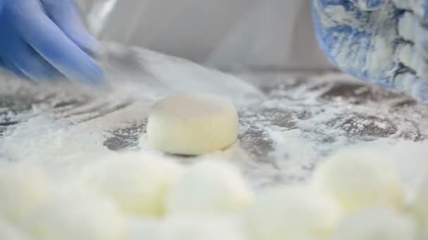 Zubereitung Zum Kochen Von Käsekuchen Mit Quark Mehl Mit Handarbeit — Stockvideo