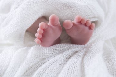 Yeni doğan feet