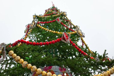 Topları ve çelenk ile büyük Noel ağacı. Alt görünümü.